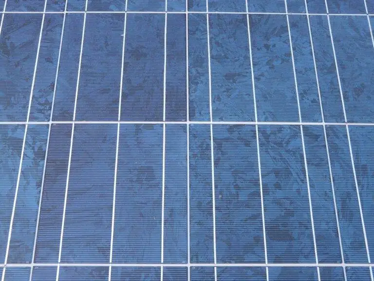 The Thrill of Rock Climbing: Scaling Vertical Faces in Scenic Locations