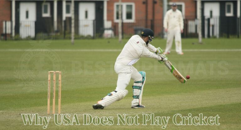 Earthbetz vs. Allpaanel: Which Offers the Best User Experience?