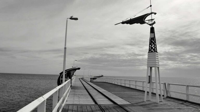 What Features Are Available On Cricbet99 Club Win M Home?